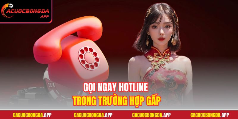 Gọi ngay hotline trong trường hợp gấp