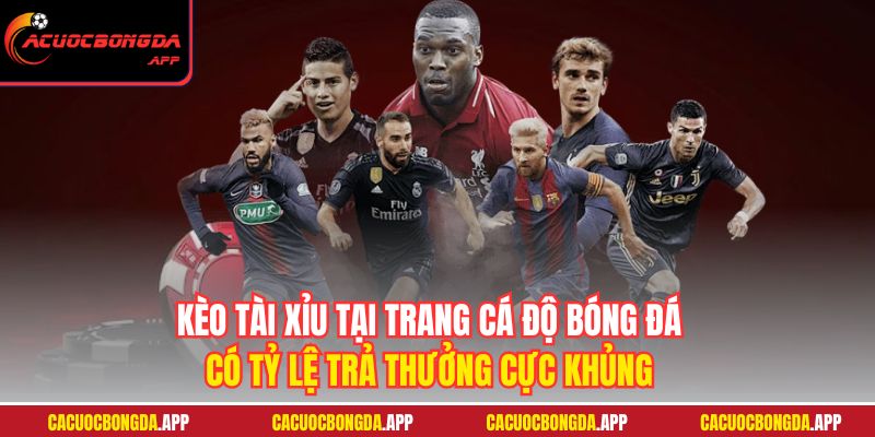 Kèo tài xỉu tại trang cá độ bóng đá có tỷ lệ trả thưởng cực khủng